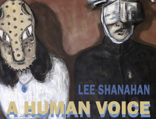 Lee Shanahan Exhibition