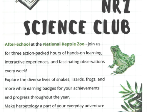 National Reptile Zoo – Science Camp